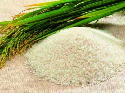 food security bill in all districts in UP.